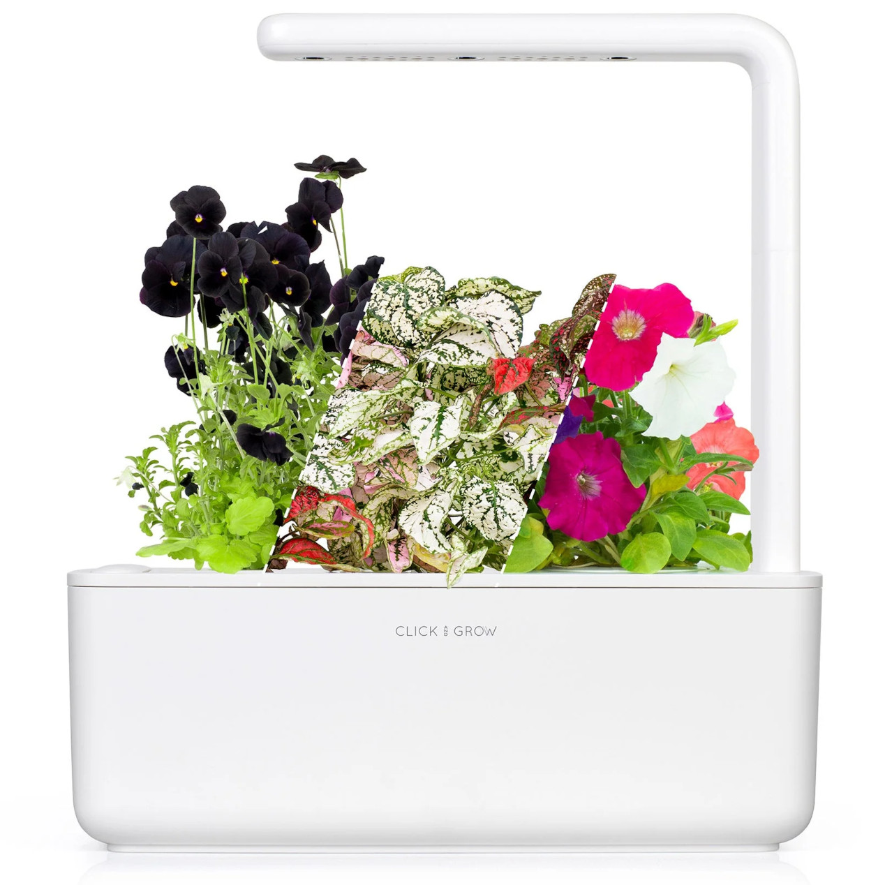 Click & Grow -  Smart Garden 3 with Vibrant Flower Kit with Grow Light and 12 Plant Pods